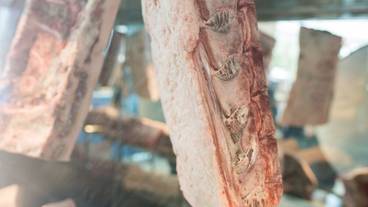 ビュッフェ / 14