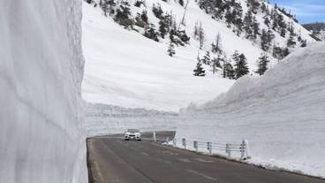 観光スポット / 13