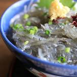 江ノ島の旬を味わおう！生しらす丼を堪能できるおすすめ店11選