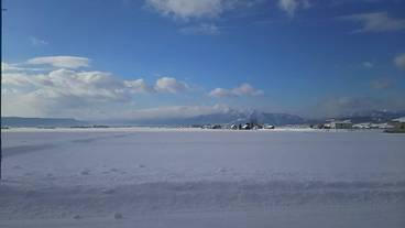 部屋からの景観 / 17