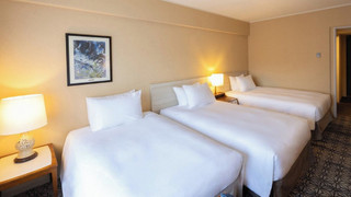 デラックスツインルーム (トリプル対応) 禁煙 ガーデンビュー