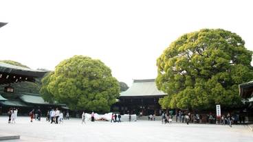 観光スポット / 16