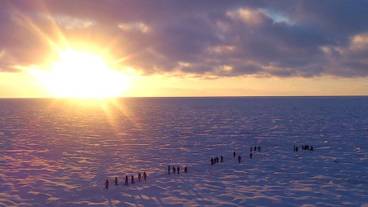 スノーシュー / 3