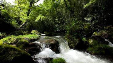 宿周辺の自然 / 1