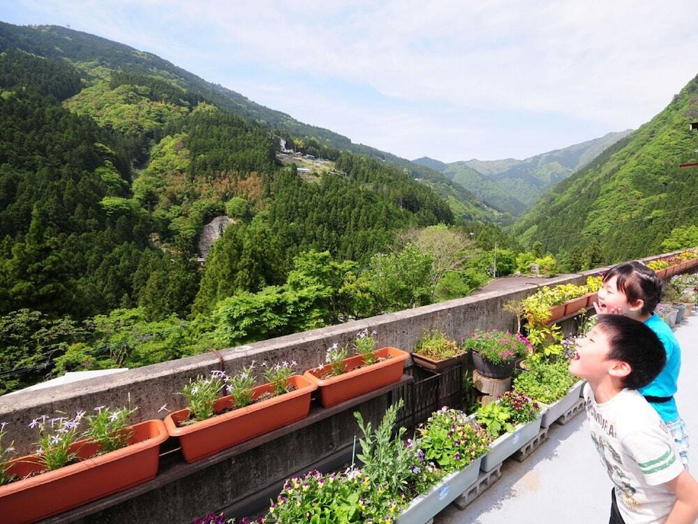 テラス / パティオ