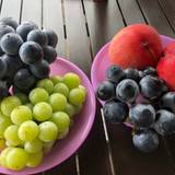 萩原フルーツ農園（ハギワラフルーツノウエン）