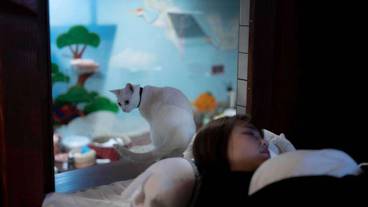 部屋からの景観 / 13