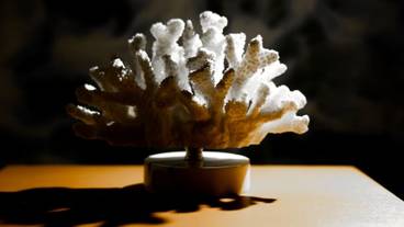 客室の設備とサービス / 34