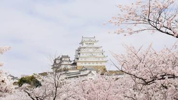 観光スポット / 5