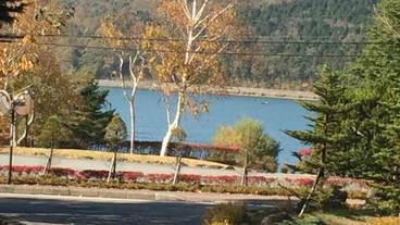 施設の敷地 / 17