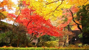 ハイキング / 17