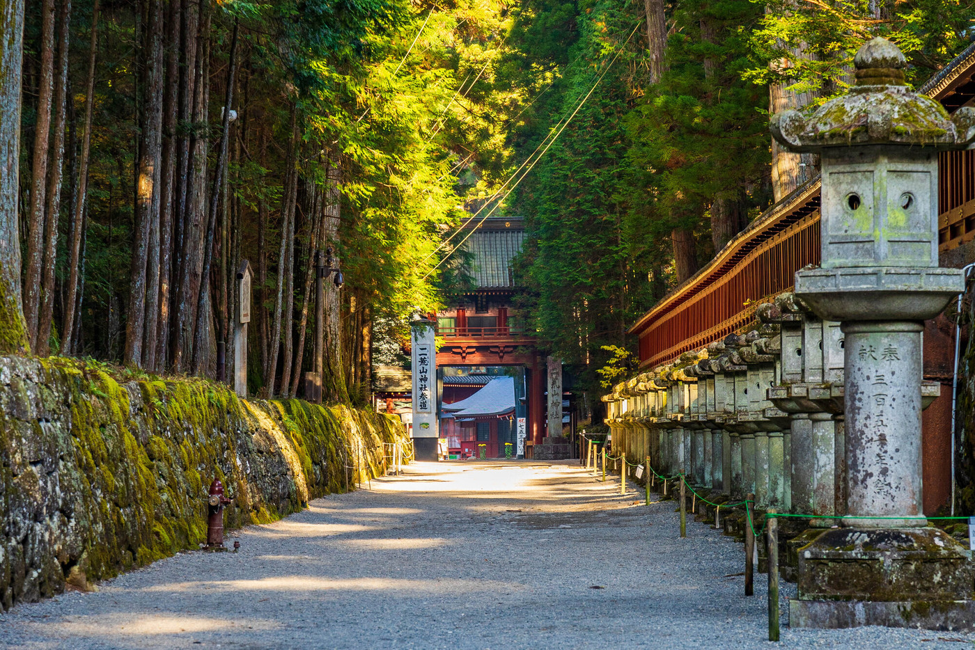 世界遺産「日光の社寺」構成資産　紅葉の日光東照宮　上新道