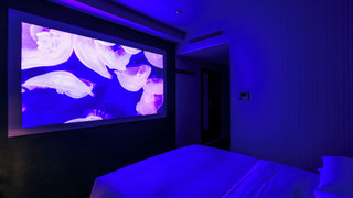 ボックスシアタールーム [禁煙]