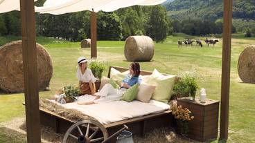 ファーム星野 牧草ベッド / 2