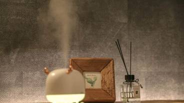 客室の設備とサービス / 30