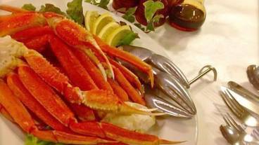 食事・飲み物 / 23