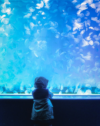 茨城県ひたちなか市 アクアワールド大洗