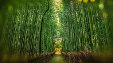 観光スポット / 5