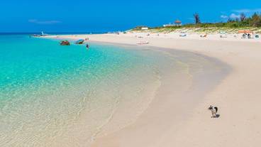 観光スポット / 9