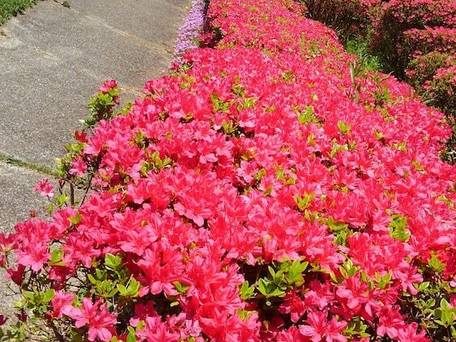 矢板温泉まことの湯 / 5