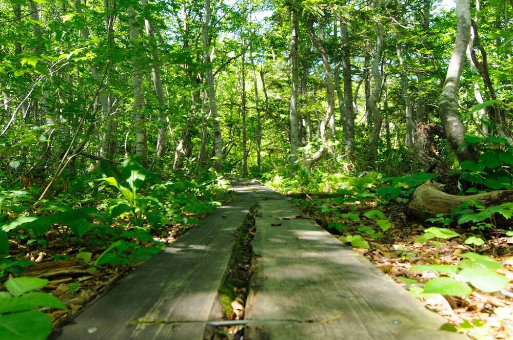 マウンテン ビュー