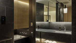 ルーム キングベッド 1 台 パークビュー (Sky King)