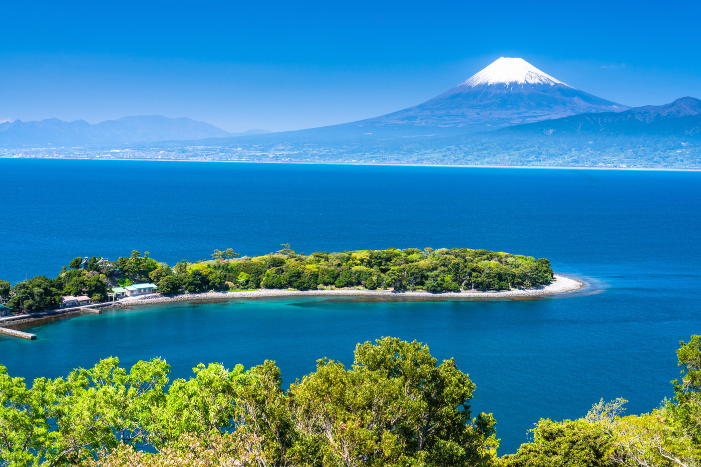 《静岡県》富士山と新緑の大瀬崎