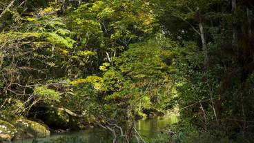 施設からの眺望 / 20