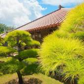 かたあきの里（宮古島）（沖縄県 リゾートホテル） / 3