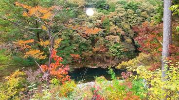 マウンテン ビュー / 5