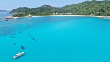 ビーチ / 7