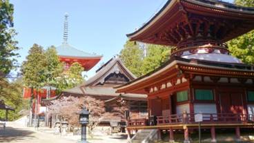 観光スポット / 13