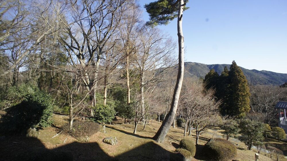 部屋からの景観