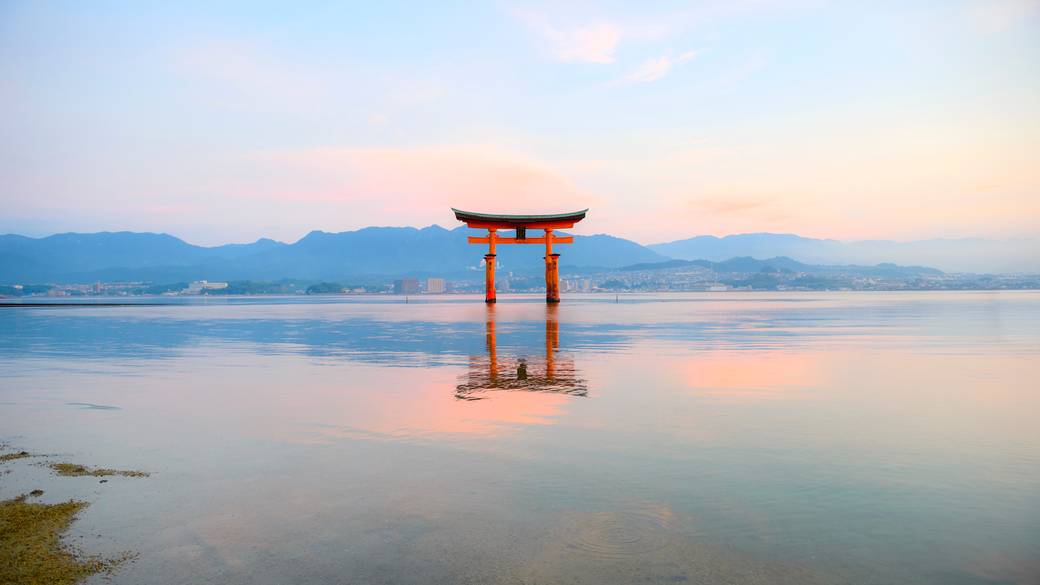 早朝の嚴島神社 大鳥居 / 1