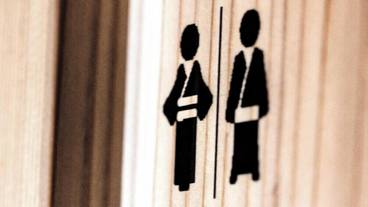 内装の詳細 / 19