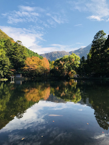 金鱗湖と紅葉