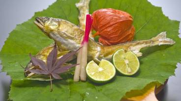 会席料理一例④ / 4