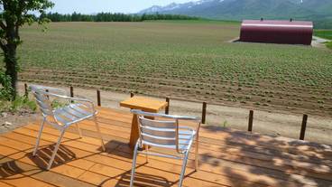 テラス / パティオ / 12