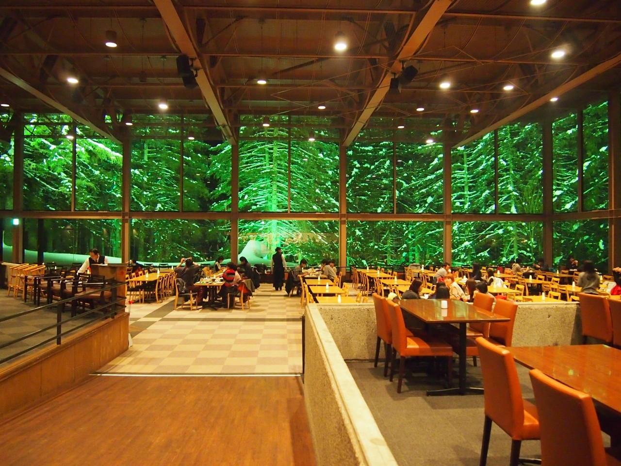 星野リゾート トマム（リゾナーレ トマム／ザ・タワー）3662507