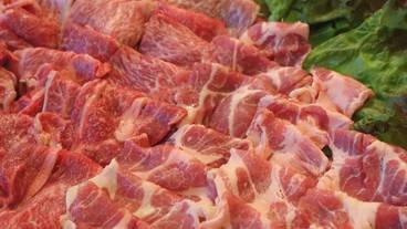 バーベキュー / ピクニック エリア / 21