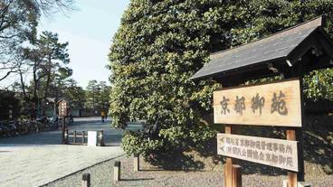 観光スポット / 7