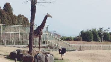 観光スポット / 5