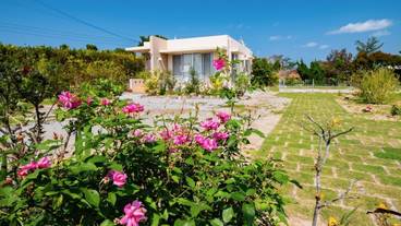 メイン イメージ / 1