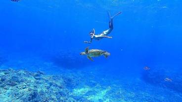 サーフィン / ボディボード / 4