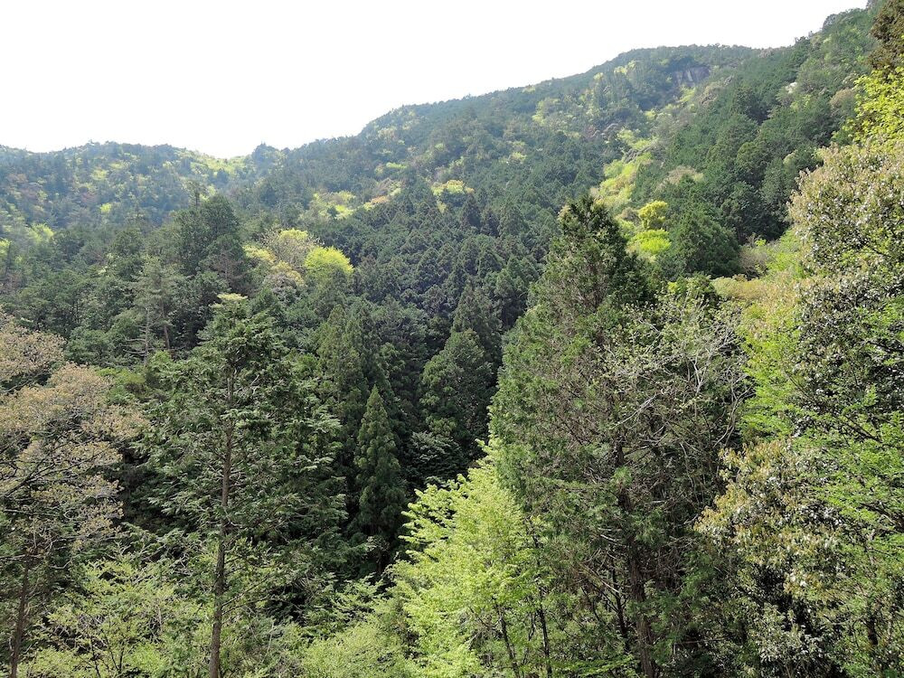 マウンテン ビュー