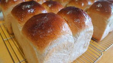 食事・飲み物 / 4