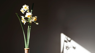 スタンダード ツインルーム ガーデンビュー