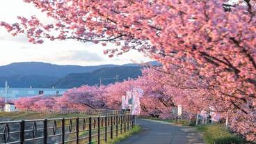 ランド ビュー / 15