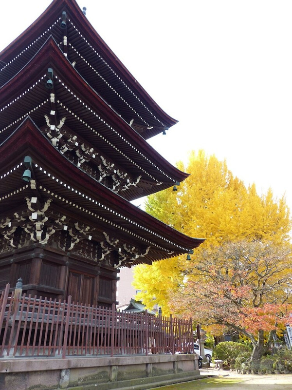 施設からの眺望