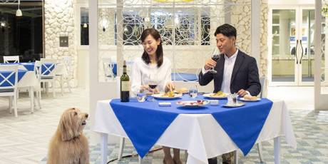 海を望む ペットと泊まれる宿 Wan's Resort（ワンズリゾート）城ヶ崎海岸